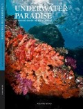 Underwater Paradise: A Diving Guide To Raja Ampat